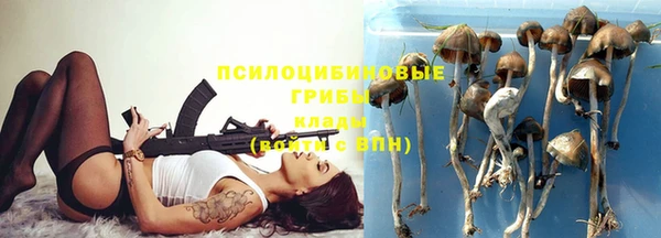 mdma Дмитриев