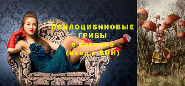 гидра Дмитровск