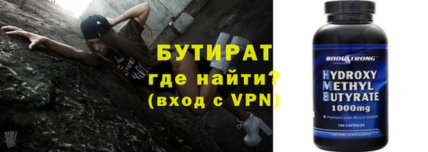 шишки Ельня