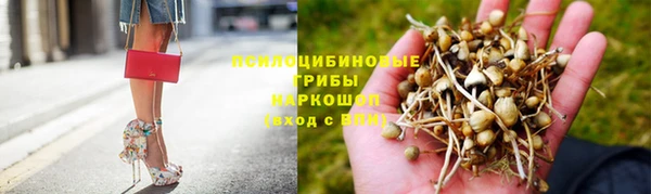 mdma Дмитриев