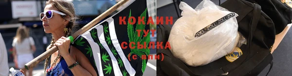 эйфоретик Дмитров