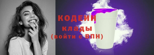 эйфоретик Дмитров