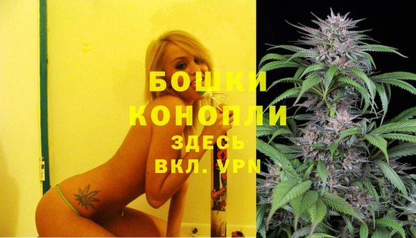 гидра Дмитровск