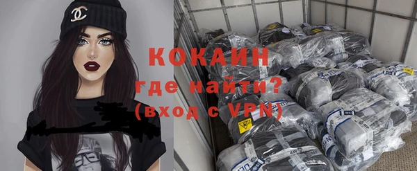 шишки Ельня