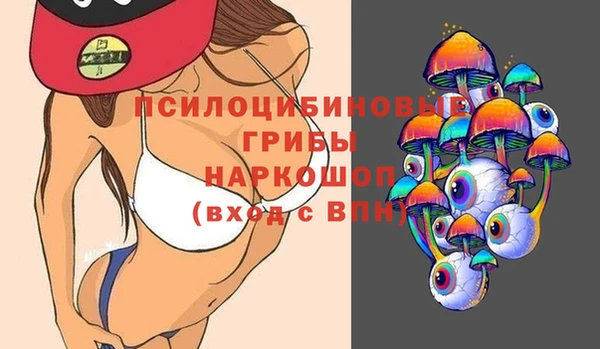 гидра Дмитровск